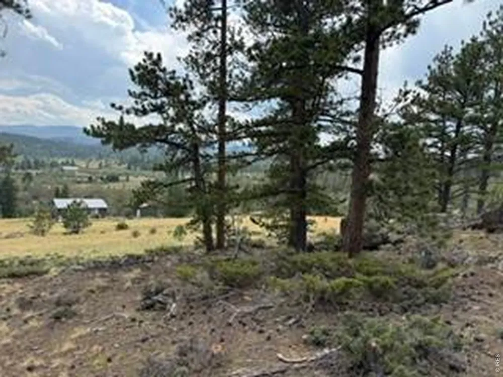 191 Cimarron Road Red Feather Lakes, CO 80545