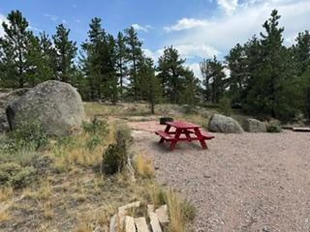 191 Cimarron Road Red Feather Lakes, CO 80545