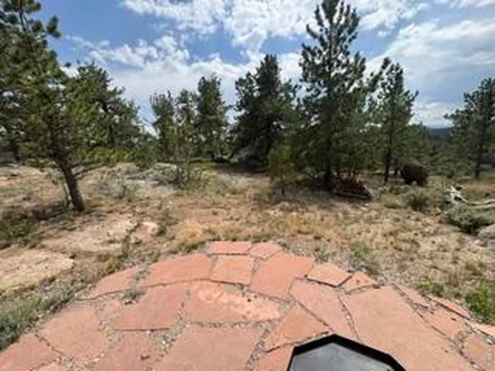 191 Cimarron Road Red Feather Lakes, CO 80545