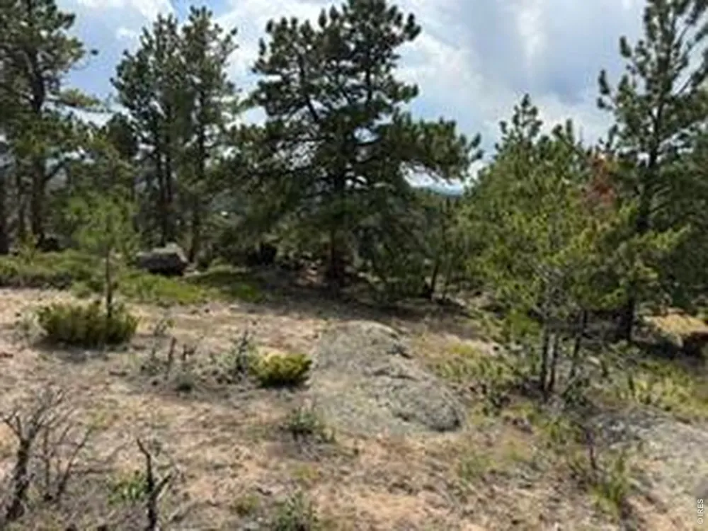 191 Cimarron Road Red Feather Lakes, CO 80545