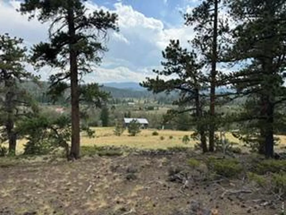 191 Cimarron Road Red Feather Lakes, CO 80545