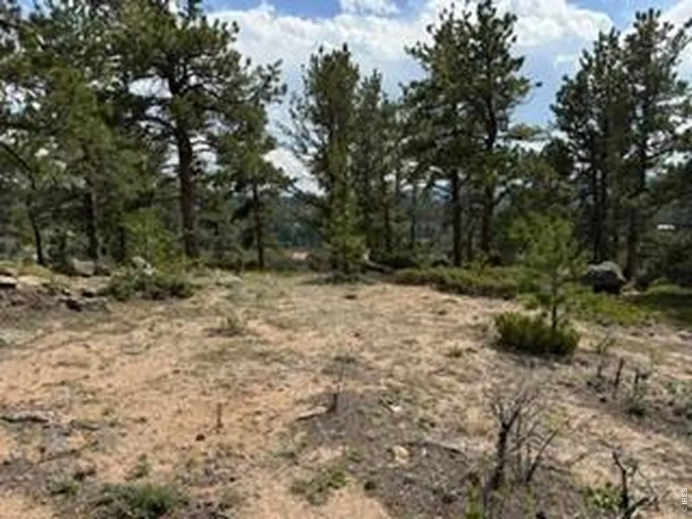 191 Cimarron Road Red Feather Lakes, CO 80545