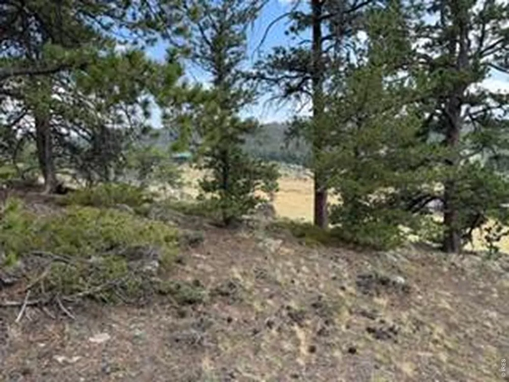 191 Cimarron Road Red Feather Lakes, CO 80545