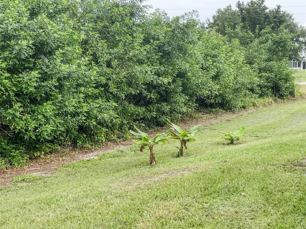 2013 ODESSA CIRCLE Labelle, FL 33935
