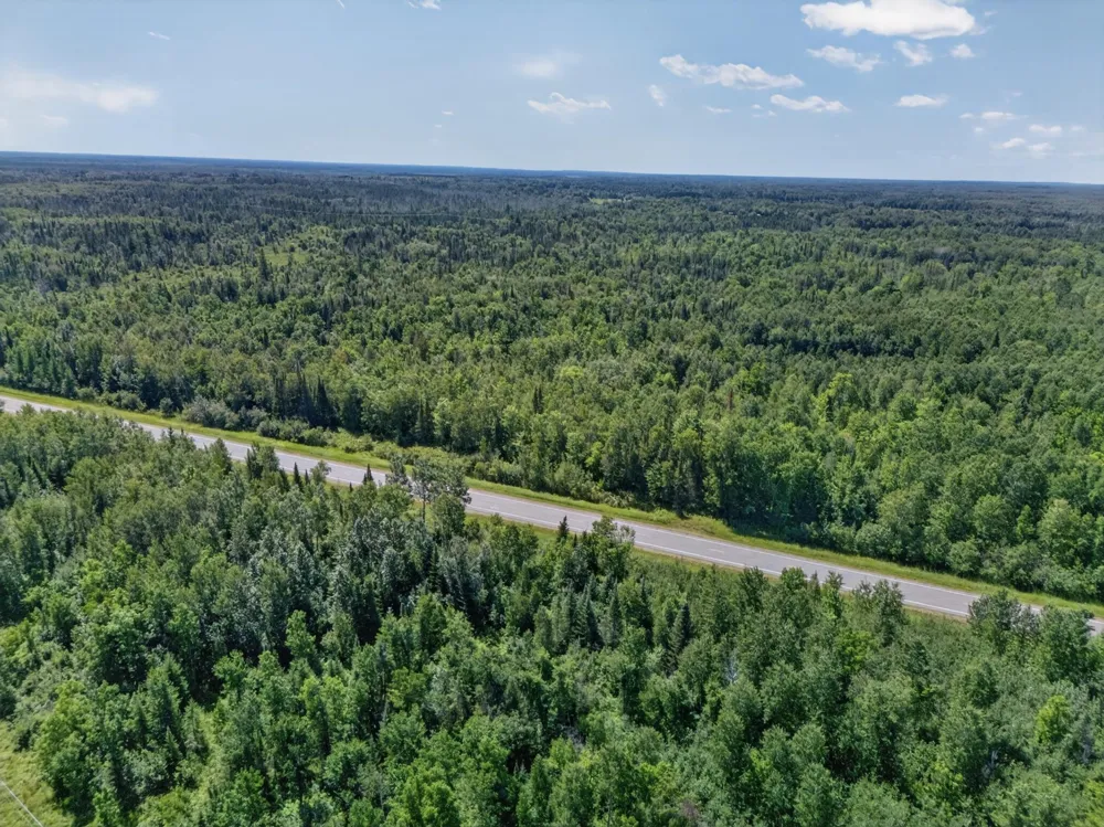 12502 TBD Van Horn Road Floodwood, MN 55736