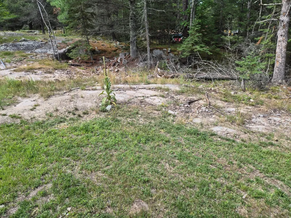 2101 County Road 138 International Falls, MN 56649