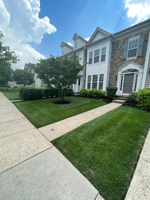 53 WILLIAMS DRIVE
