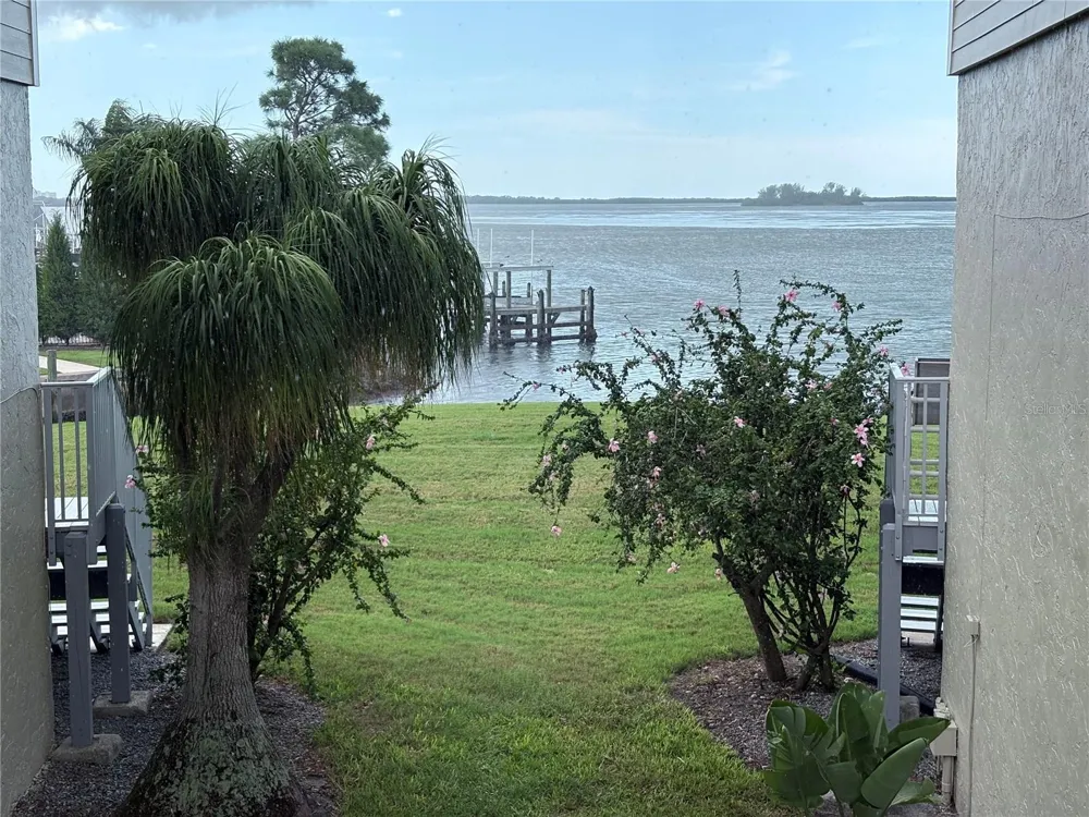 433 S PAULA DRIVE #28 Dunedin, FL 34698