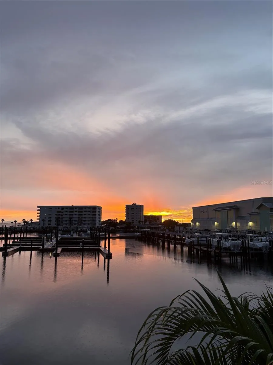 433 S PAULA DRIVE #28 Dunedin, FL 34698