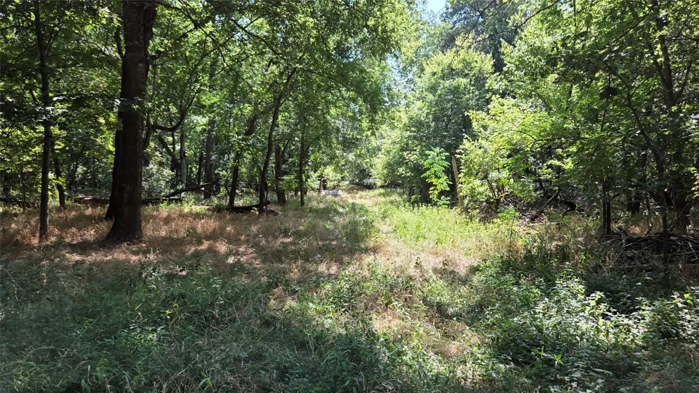 4930 Cr-4509 Commerce, TX 75428