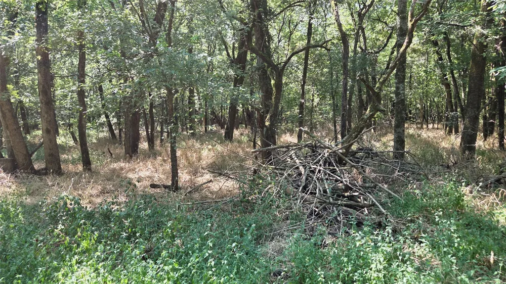 4930 Cr-4509 Commerce, TX 75428