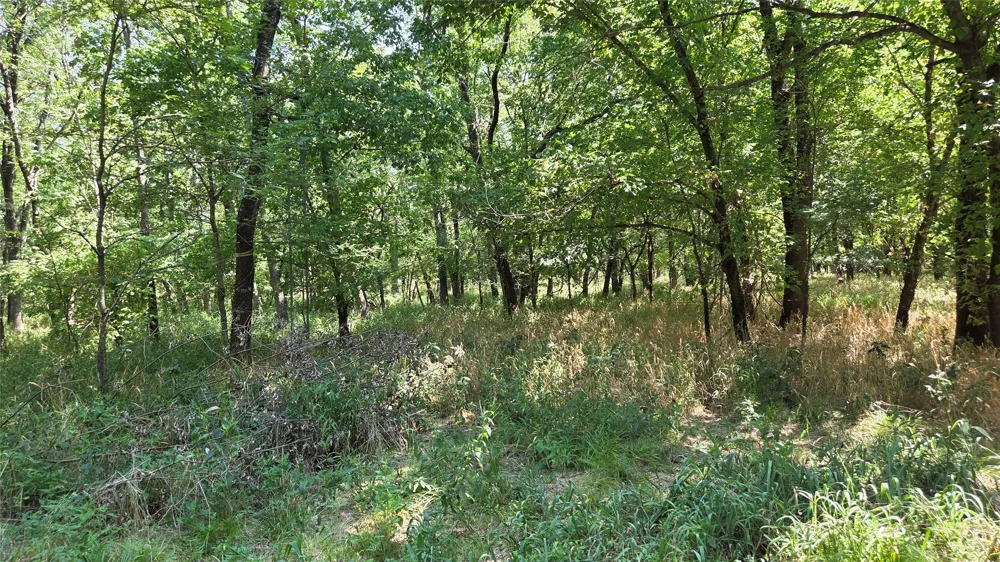 4930 Cr-4509 Commerce, TX 75428