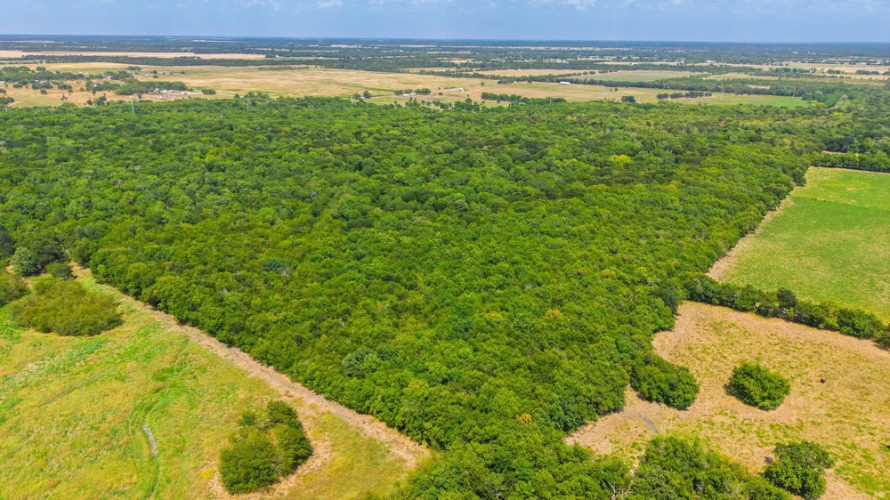 4930 Cr-4509 Commerce, TX 75428