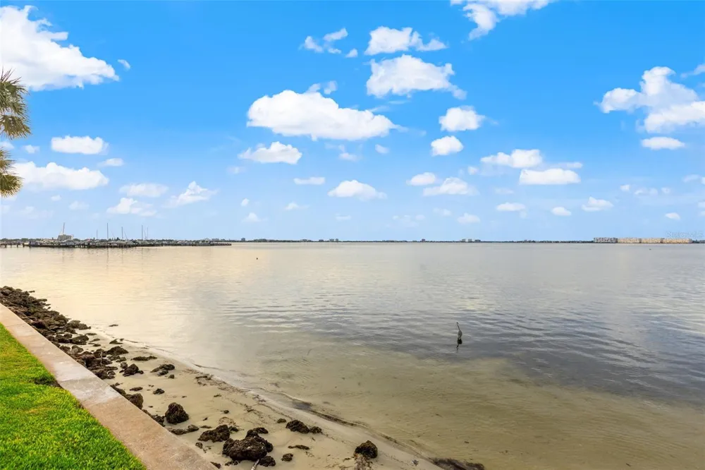 5541 PUERTA DEL SOL BOULEVARD S #412 St Petersburg, FL 33715
