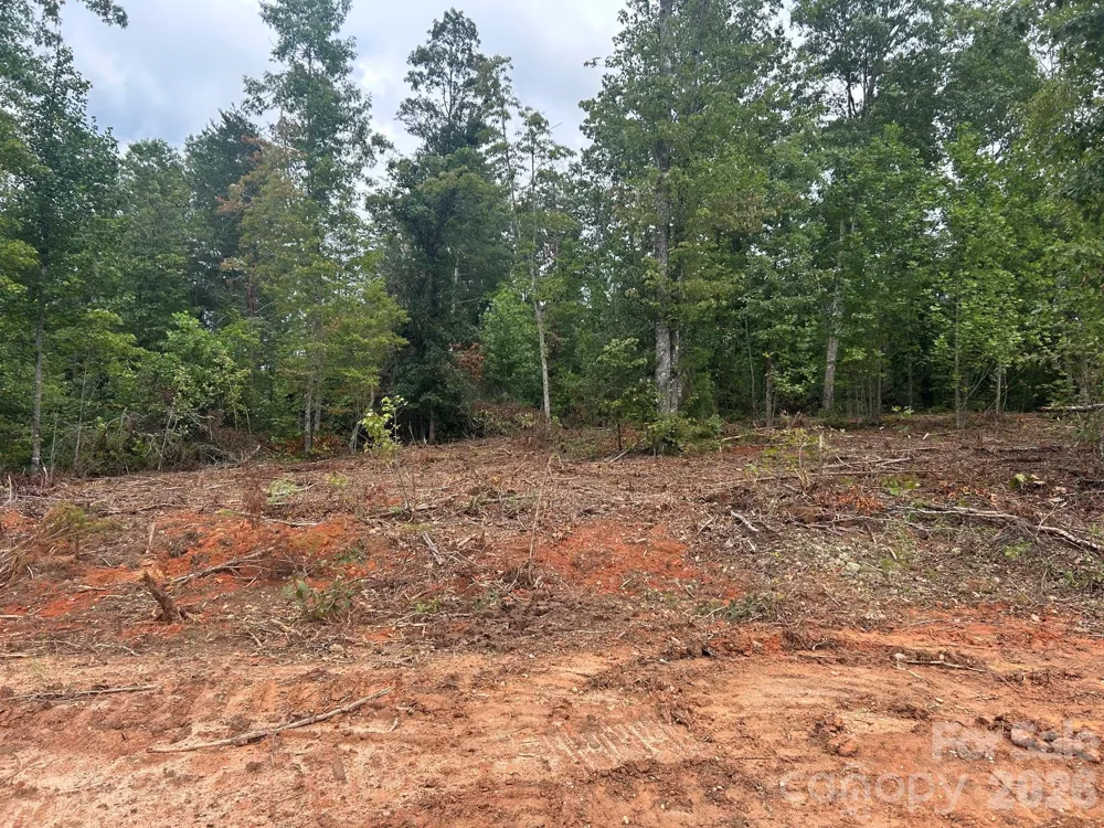 V/L Lotus Drive #15 Nebo, NC 28761