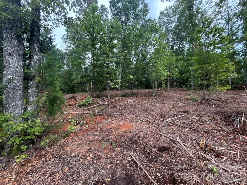 V/L Lotus Drive #15 Nebo, NC 28761
