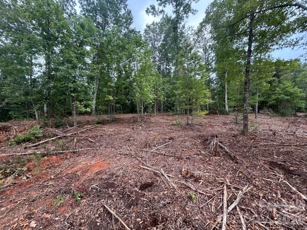 V/L Lotus Drive #15 Nebo, NC 28761
