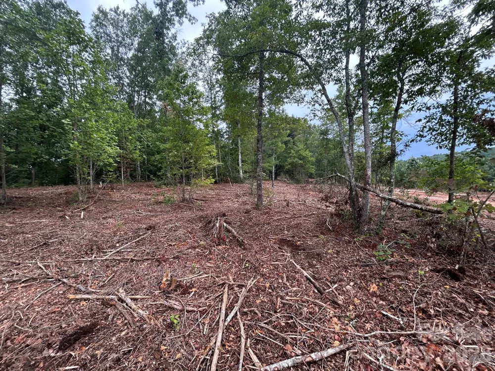 V/L Lotus Drive #15 Nebo, NC 28761