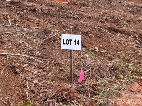 V/L Lotus Drive #14