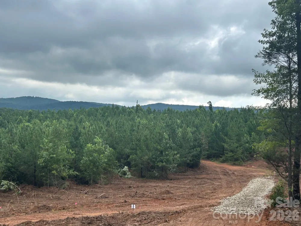 V/L Lotus Drive #14 Nebo, NC 28761