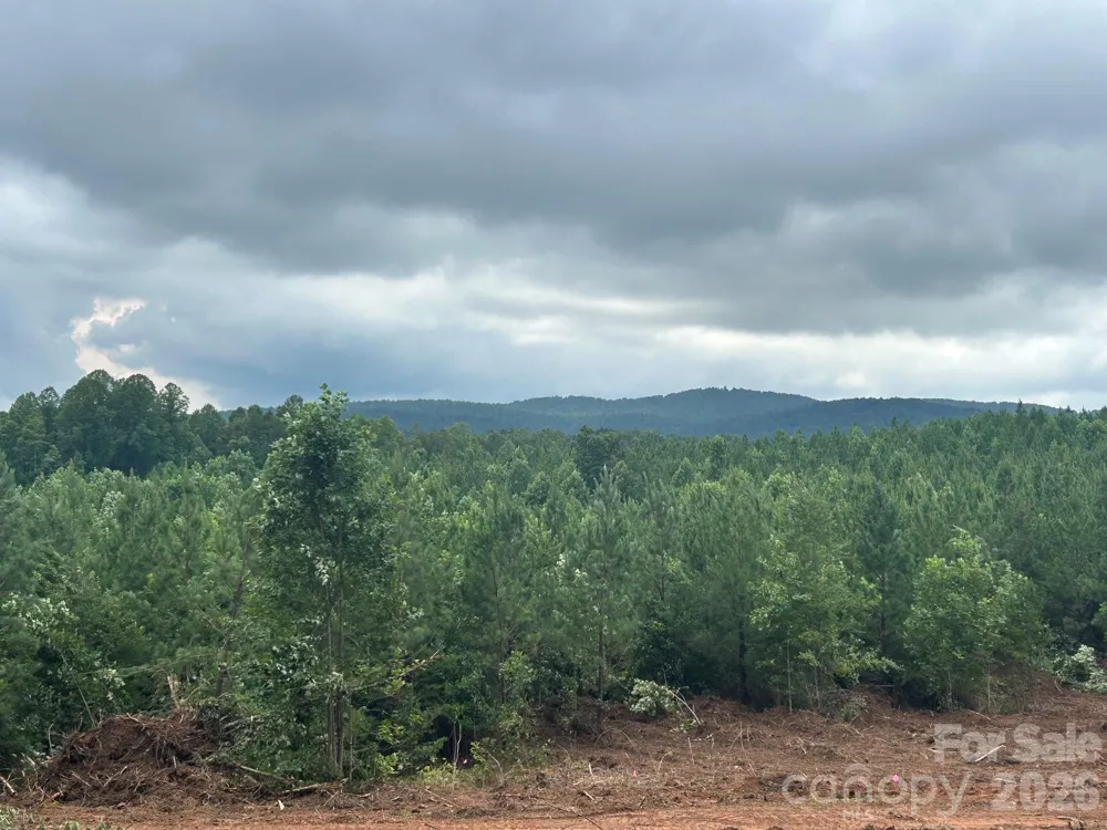 V/L Lotus Drive #14 Nebo, NC 28761