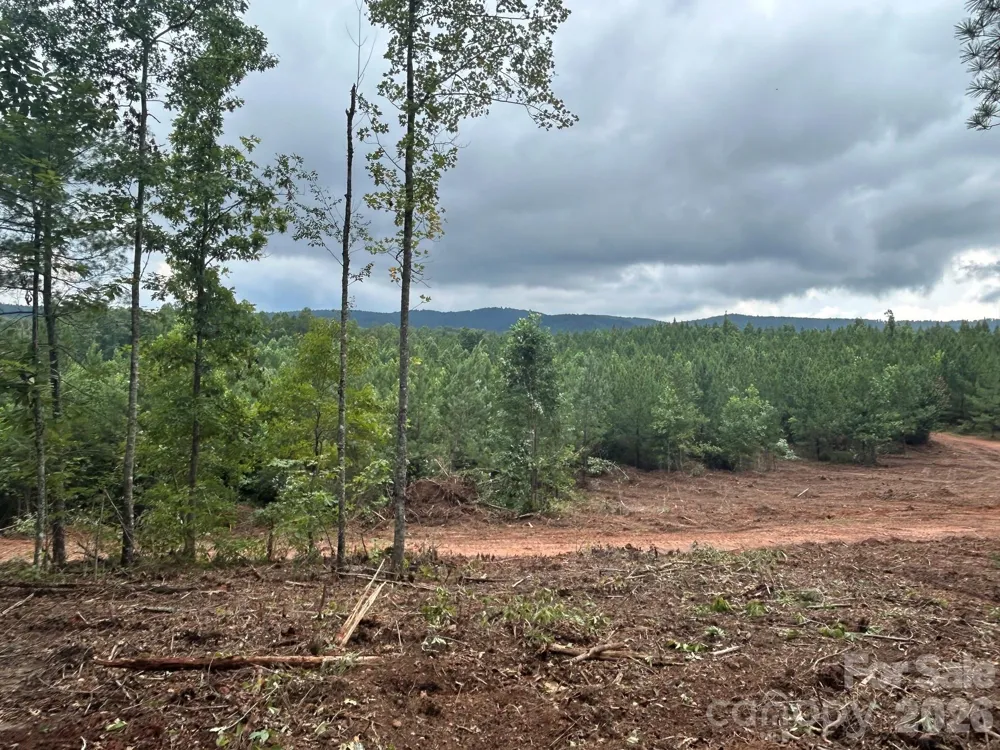 V/L Lotus Drive #14 Nebo, NC 28761