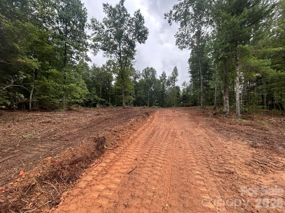 V/L Lotus Drive #14 Nebo, NC 28761