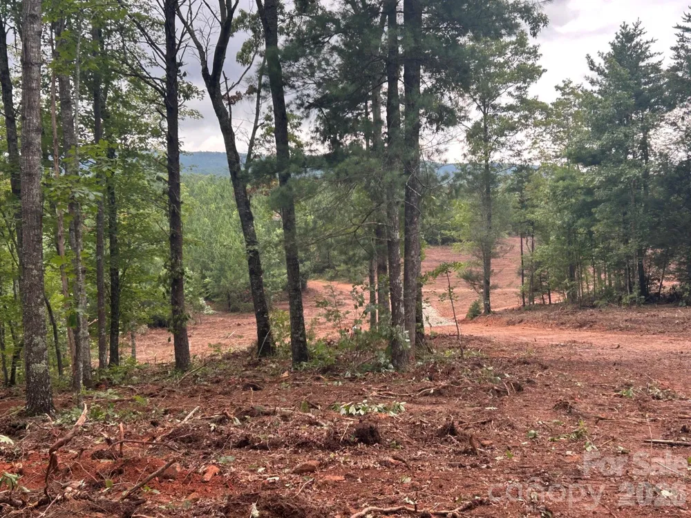 V/L Lotus Drive #14 Nebo, NC 28761