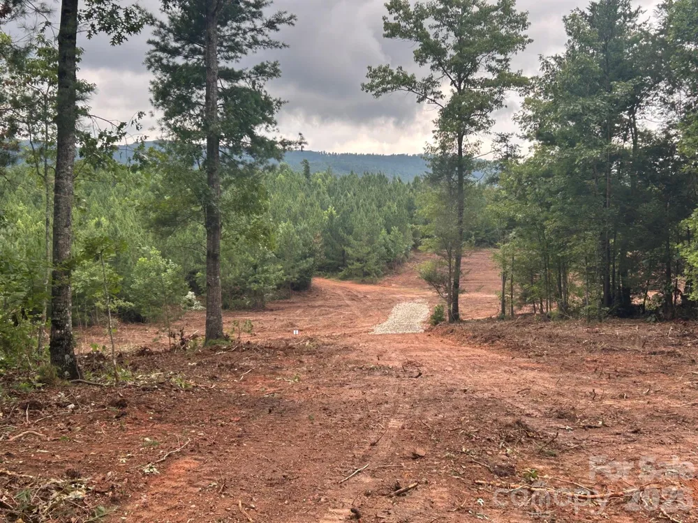 V/L Lotus Drive #14 Nebo, NC 28761
