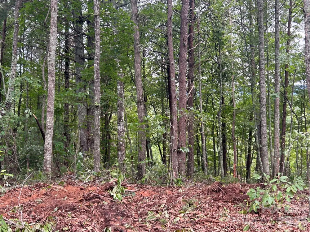 V/L Lotus Drive #14 Nebo, NC 28761