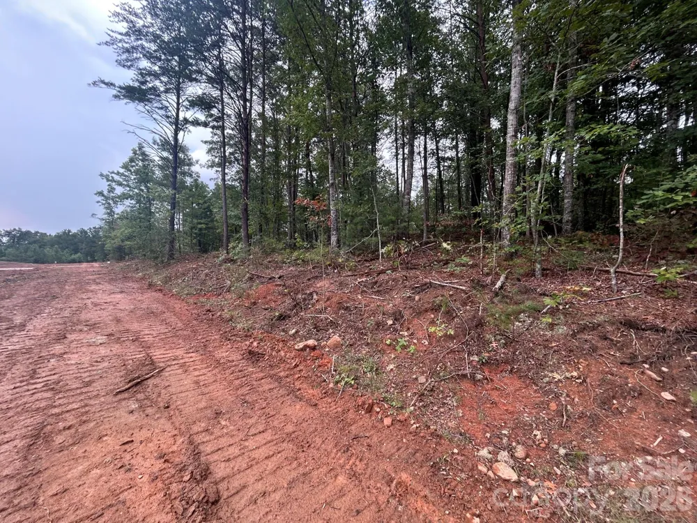 V/L Lotus Drive #14 Nebo, NC 28761
