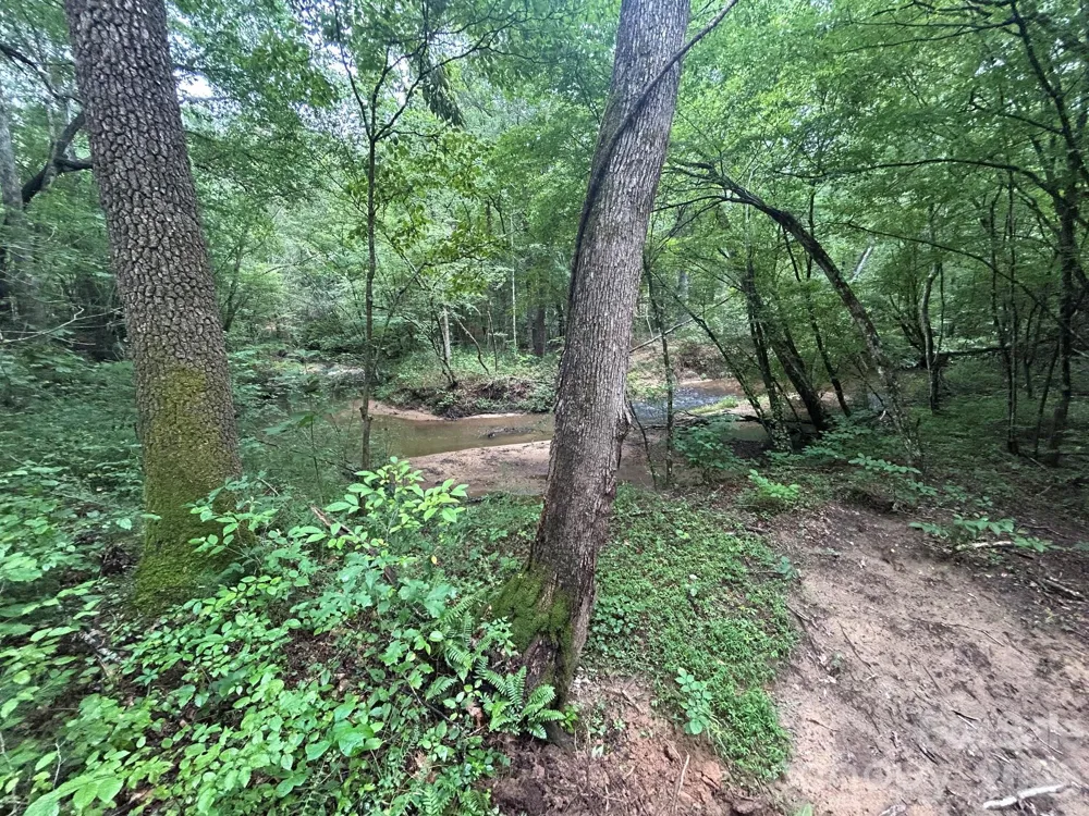 V/L Lotus Drive #14 Nebo, NC 28761