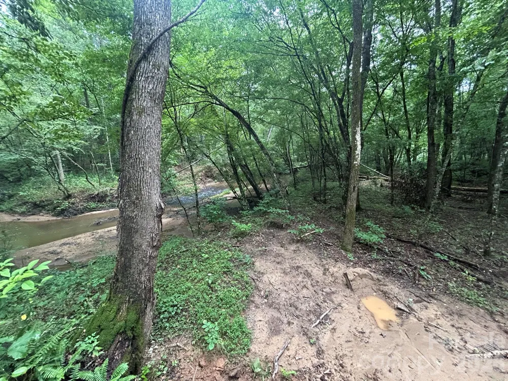 V/L Lotus Drive #14 Nebo, NC 28761