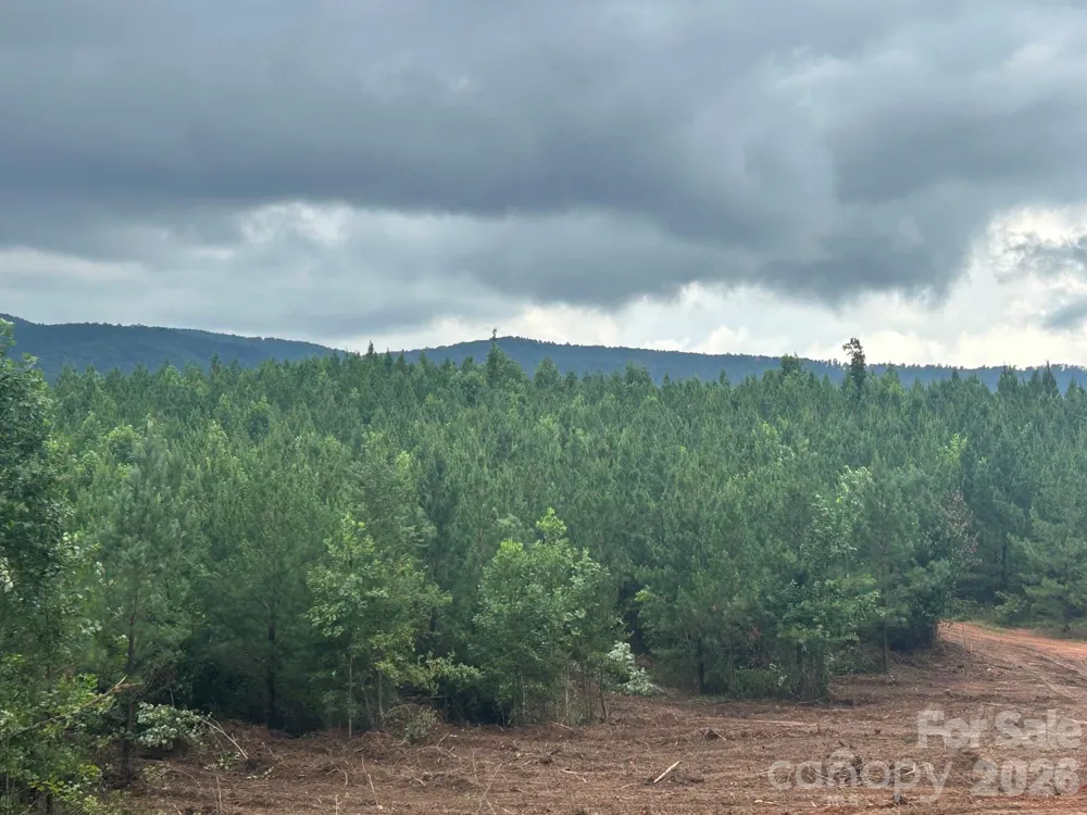 V/L Lotus Drive #14 Nebo, NC 28761