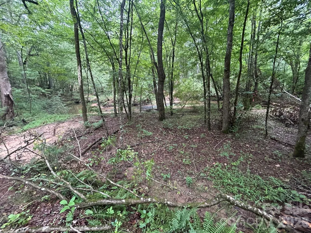 V/L Lotus Drive #14 Nebo, NC 28761