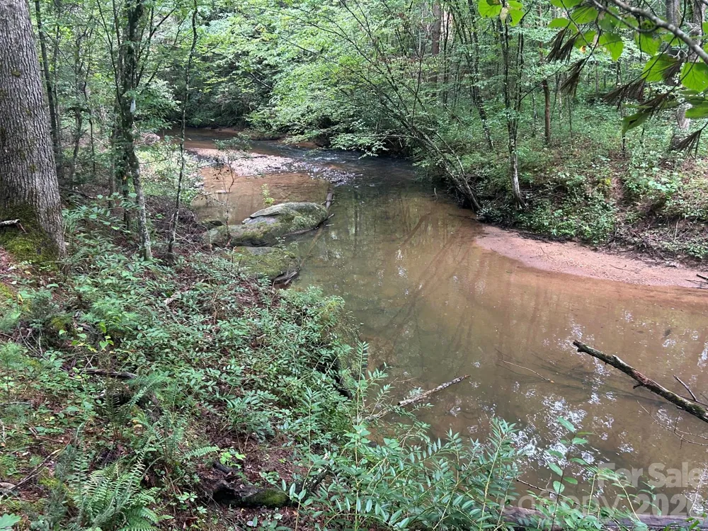 V/L Lotus Drive #14 Nebo, NC 28761