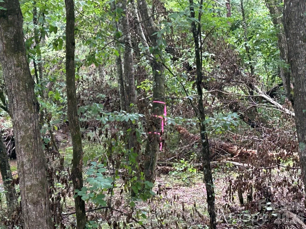 V/L Lotus Drive #14 Nebo, NC 28761