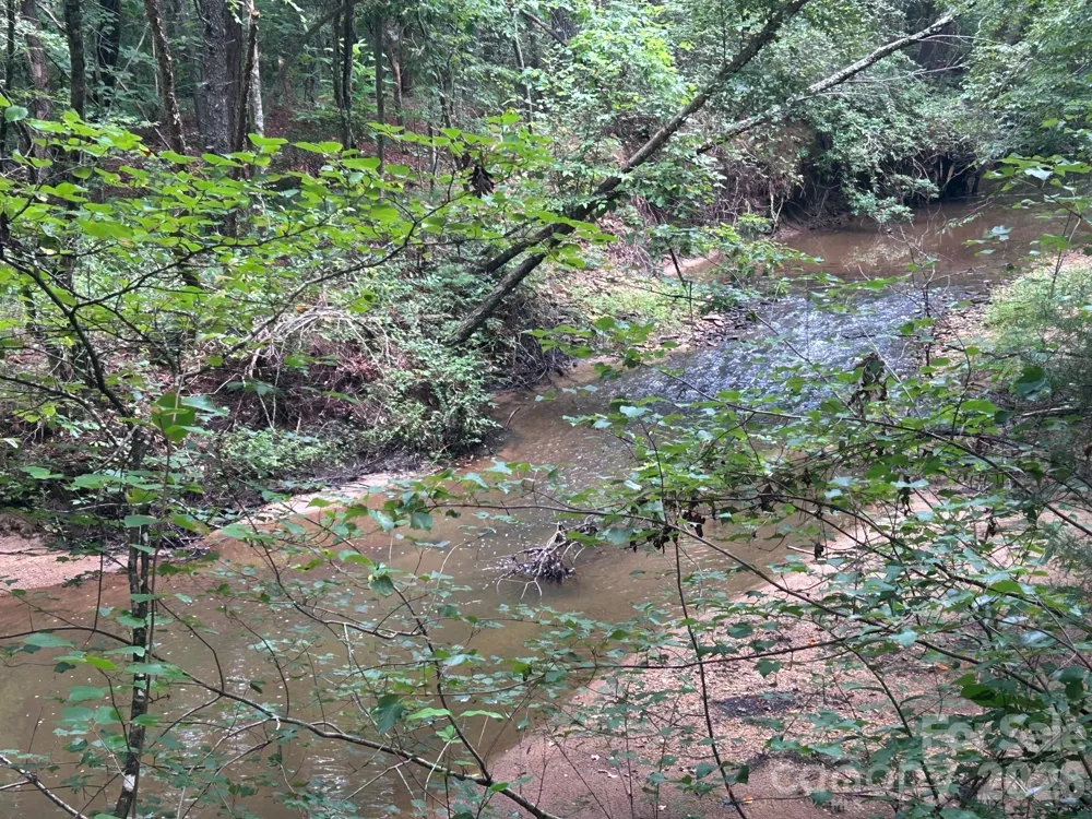 V/L Lotus Drive #14 Nebo, NC 28761