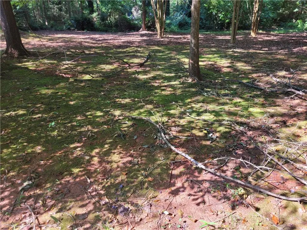 37 Knottywood Drive Lavonia, GA 30553