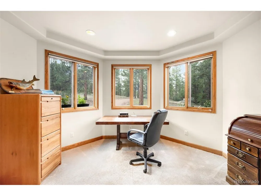 21206 Spring Creek Road Buffalo Creek, CO 80425