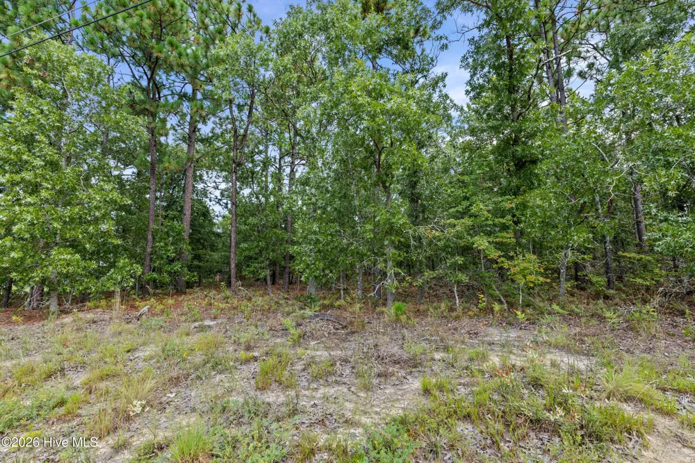 2467 Patiller Road Hephzibah, GA 30815