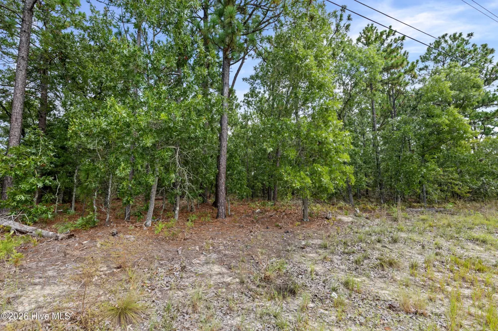 2467 Patiller Road Hephzibah, GA 30815