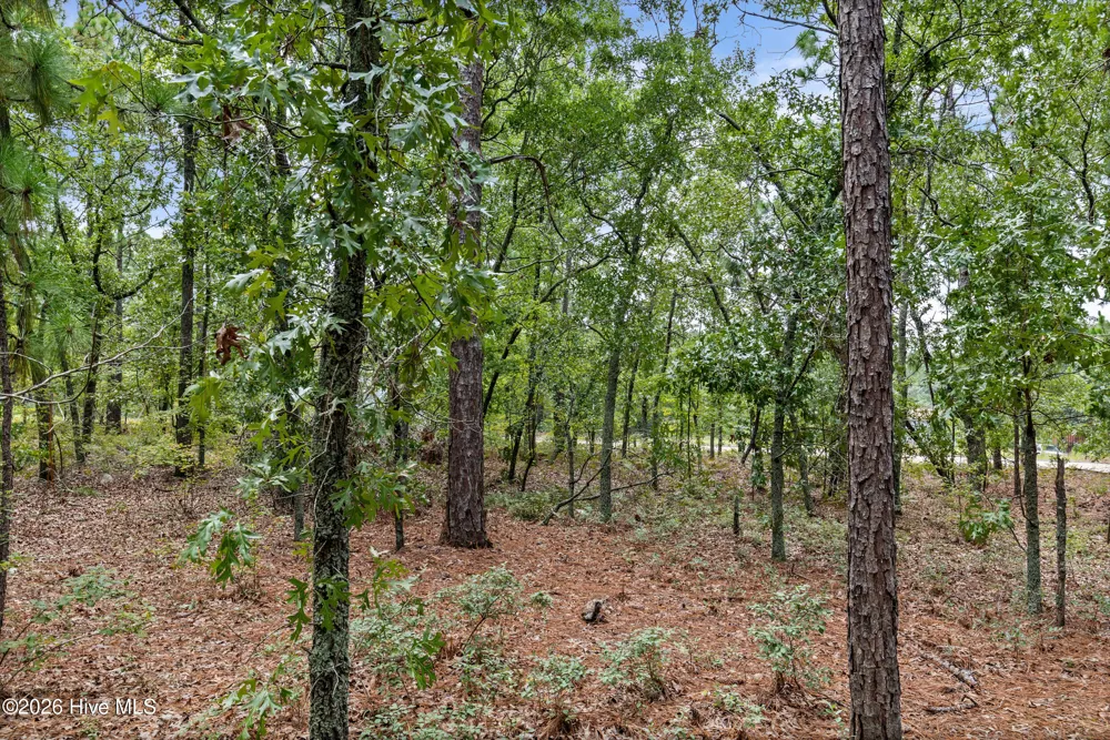 2467 Patiller Road Hephzibah, GA 30815