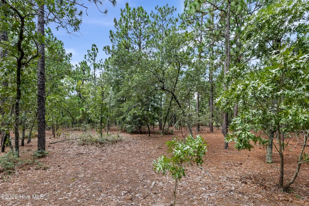 2467 Patiller Road Hephzibah, GA 30815