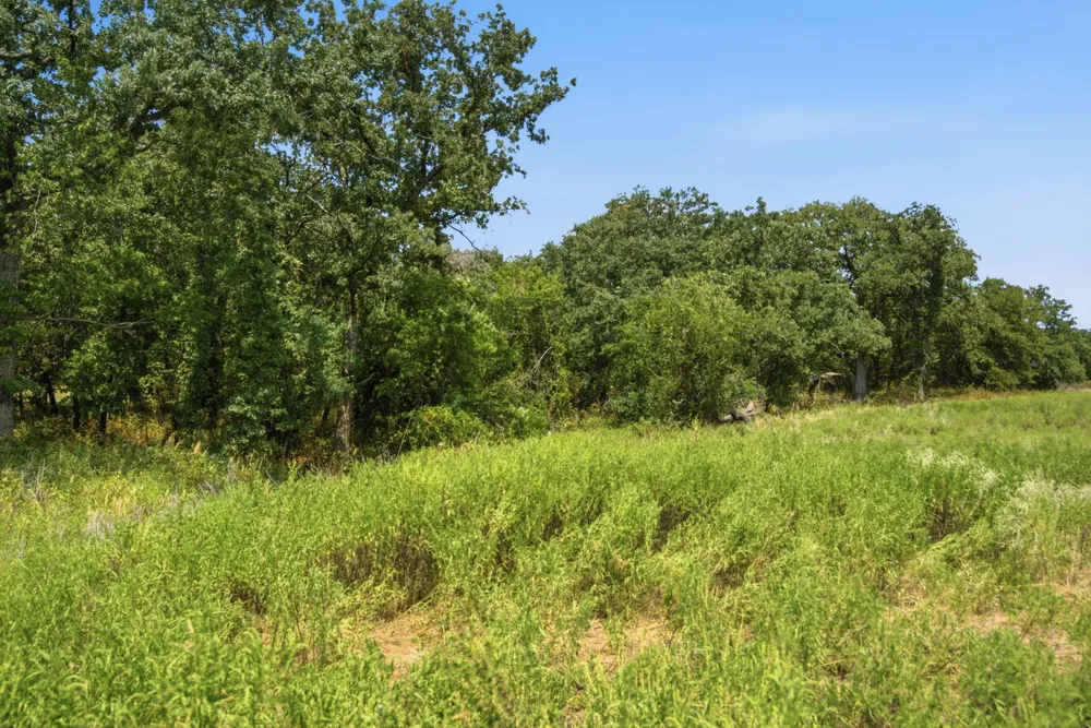 374 Clark Lake Road Weatherford, TX 76088