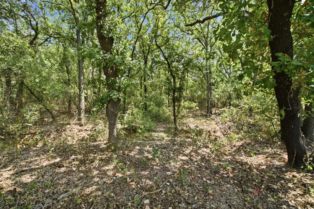 374 Clark Lake Road Weatherford, TX 76088