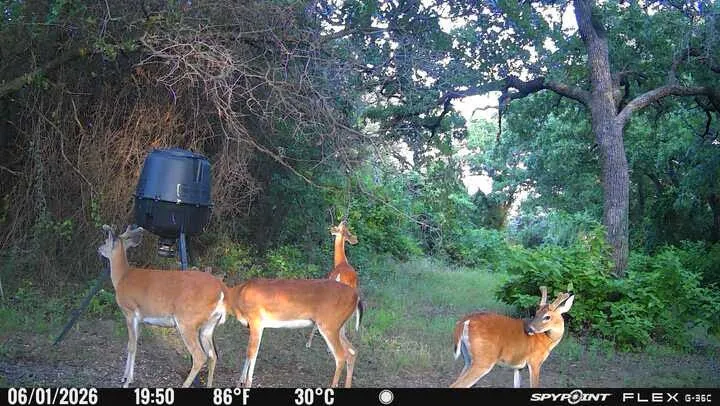 1647 County Road 1004 Glen Rose, TX 76690