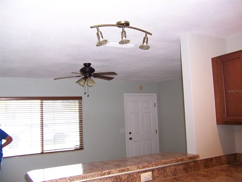 2624 ORANGE TREE DRIVE Edgewater, FL 32141