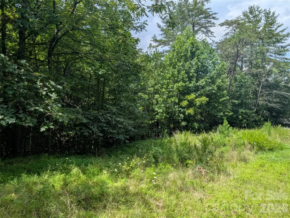 0 Austin Drive #13 Marshall, NC 28753