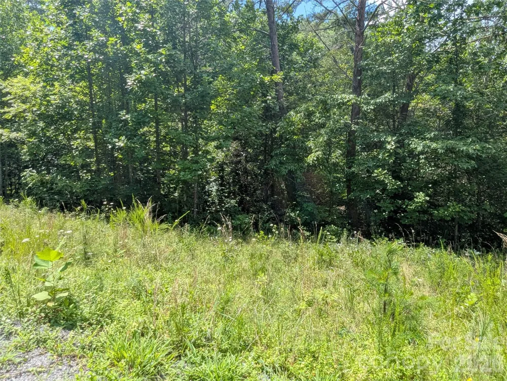 0 Austin Drive #13 Marshall, NC 28753